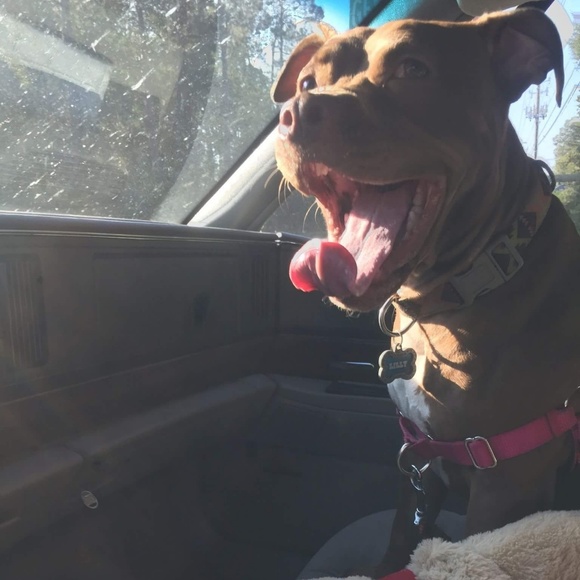 Meet your Posher, Beth - Picture 3 of 6